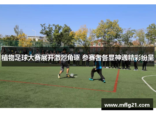 植物足球大赛展开激烈角逐 参赛者各显神通精彩纷呈
