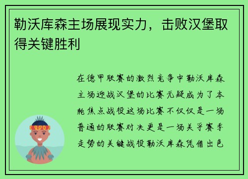 勒沃库森主场展现实力，击败汉堡取得关键胜利